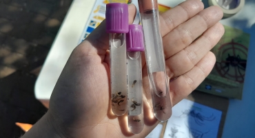 Números de casos de dengue foram alarmantes no ano de 2023, em Patos de Minas Números de casos de dengue foram alarmantes no ano de 2023, em Patos de Minas