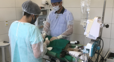 Centro de Triagem e Reabilitação de Animais Silvestres (Cetras) não será fechado, em Patos de Minas Centro de Triagem e Reabilitação de Animais Silvestres (Cetras) não será fechado, em Patos de Minas