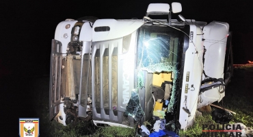 Combinação Veicular carregada com bovinos tomba na BR-146 e vários animais morrem Combinação Veicular carregada com bovinos tomba na BR-146 e vários animais morrem