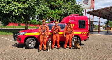 Presidente Olegário - Com cães farejadores de Uberaba, bombeiros retomam busca por desaparecido em mata Presidente Olegário - Com cães farejadores de Uberaba, bombeiros retomam busca por desaparecido em mata