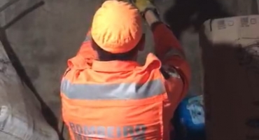 Corpo de Bombeiros captura jiboia em telhado de residência na cidade de Patos de Minas Corpo de Bombeiros captura jiboia em telhado de residência na cidade de Patos de Minas