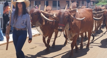 Dezenas de comitivas participam do desfile de Carros de Boi no Distrito de Monjolinho 