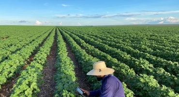 Agro mineiro bate recorde de exportações em 2023