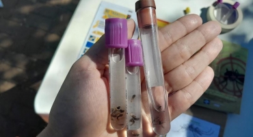 Prefeitura de Patos de Minas decreta estado emergencial da dengue na cidade