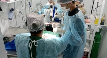 Castramóvel estará no município de Santana de Patos no período de 4 a 7 de março Castramóvel estará no município de Santana de Patos no período de 4 a 7 de março