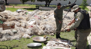 Governo apresenta balanço de fiscalizações de combate à pesca no período da piracema em Minas Gerais Governo apresenta balanço de fiscalizações de combate à pesca no período da piracema em Minas Gerais