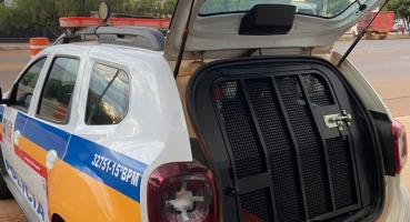 Lagoa Formosa - Indivíduos entram em garagem de residência; furtam veículo e abandonam o carro após defeito mecânico 