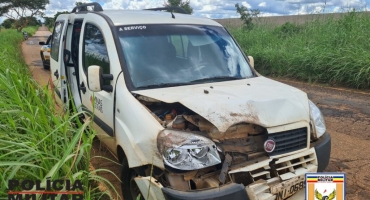 Ambulância atropela animal selvagem na rodovia MG-188 em Coromandel ; pacientes não sofrem ferimentos Ambulância atropela animal selvagem na rodovia MG-188 em Coromandel ; pacientes não sofrem ferimentos