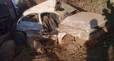 Acidente envolvendo caminhão carregado com suínos e automóvel deixa três pessoas feridos Acidente envolvendo caminhão carregado com suínos e automóvel deixa três pessoas feridos