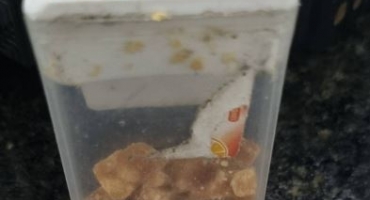 Homem é preso na entrada do Parque de Exposições de Patos de Minas com pedras de crack dentro de embalagem de balas Homem é preso na entrada do Parque de Exposições de Patos de Minas com pedras de crack dentro de embalagem de balas