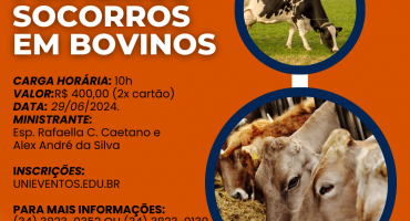 “Primeiros Socorros em Bovinos” é tema de curso no UNIPAM “Primeiros Socorros em Bovinos” é tema de curso no UNIPAM