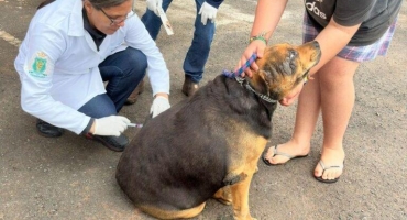 Centro de Controle de Zoonoses faz balanço de mutirão de vacinação realizado no último sábado (10)