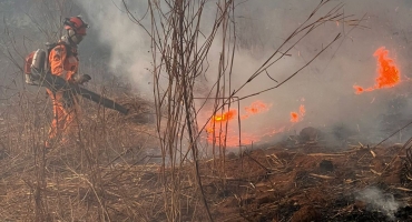 Incêndio na zona rural de Patos de Minas atinge área de pastagem, mata ciliar e reserva Incêndio na zona rural de Patos de Minas atinge área de pastagem, mata ciliar e reserva