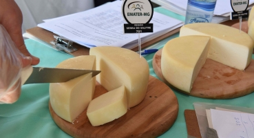 Concurso Estadual dos Queijos Artesanais de Minas Gerais realiza o julgamento dos queijos finalistas nesta sexta-feira