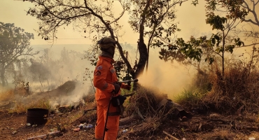 Coromandel - Corpo de Bombeiros combatem focos de incêndio no distrito de Pântano Coromandel - Corpo de Bombeiros combatem focos de incêndio no distrito de Pântano