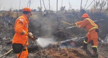 Mata do Catingueiro em Patos de Minas volta a pegar fogo e mobiliza o Corpo de Bombeiros Mata do Catingueiro em Patos de Minas volta a pegar fogo e mobiliza o Corpo de Bombeiros