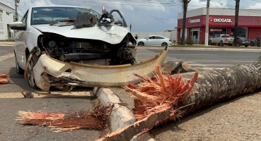 Condutora perde controle direcional, derruba coqueiro na Avenida Marabá e fica ferida Condutora perde controle direcional, derruba coqueiro na Avenida Marabá e fica ferida