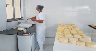 Emater-MG lança cartilha com o passo a passo das boas práticas de fabricação de queijos artesanais Emater-MG lança cartilha com o passo a passo das boas práticas de fabricação de queijos artesanais