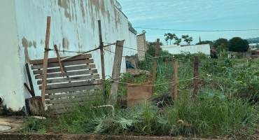 Idoso é preso após ser flagrado tendo relação sexual com cadela no bairro Bom Retiro; em Lagoa Formosa Idoso é preso após ser flagrado tendo relação sexual com cadela no bairro Bom Retiro; em Lagoa Formosa