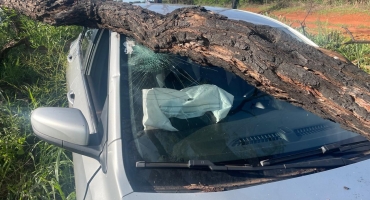 Presidente Olegário - Motorista cochila ao volante e bate veículo em árvore na MG-410 Presidente Olegário - Motorista cochila ao volante e bate veículo em árvore na MG-410