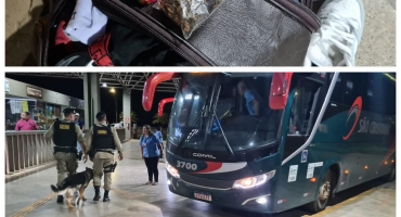Patos de Minas - Durante operação da PM na rodoviária jovem é preso com drogas na bagagem Patos de Minas - Durante operação da PM na rodoviária jovem é preso com drogas na bagagem