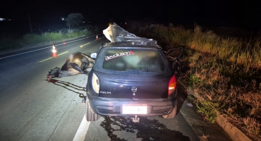 Uma pessoa morre e outras três ficam feridas após veículo atingir boi na MGC-462, em Patrocínio