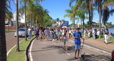 ALPA realiza em Lagoa Formosa no próximo sábado (26) a 3ª “Cãominhada” ALPA realiza em Lagoa Formosa no próximo sábado (26) a 3ª “Cãominhada”
