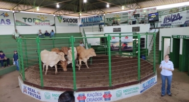 Sindicato dos Produtores Rurais de Lagoa Formosa realiza Leilão Misto nesta quinta-feira, 29 de maio