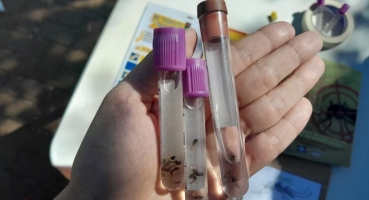 Prefeitura de Patos de Minas alerta sobre alto registro de casos de dengue no município Prefeitura de Patos de Minas alerta sobre alto registro de casos de dengue no município