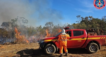 Incêndio destruiu cerca de 540 hectares na Região do Pântano; no município de Coromandel 