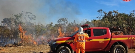 Incêndio destruiu cerca de 540 hectares na Região do Pântano; no município de Coromandel 