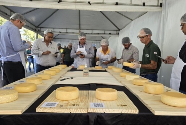 Divulgado resultado do Concurso Regional do Queijo Minas Artesanal da Canastra