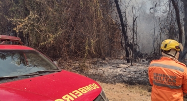 Bombeiros de Patos de Minas combatem incêndio em reserva no distrito de Sertãozinho e evitam que fogo atingisse lavoura de café