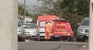 Bombeiros de Patos de Minas capturam cães da raça Pitbull; após ataque aos próprios donos no bairro Planalto