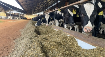 Lagoa Formosa é o sexto município brasileiro que mais produz leite no país 