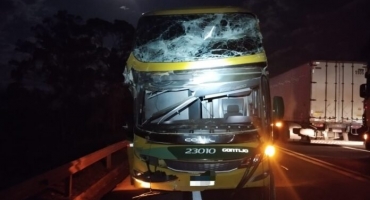 Árvore cai sobre a BR-262 e atinge caminhão e ônibus da Gontijo com 27 passageiros