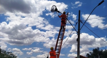 Corpo de Bombeiros salva ouriço que se refugiou no alto de um poste para fugir de cães; em Lagoa Formosa 