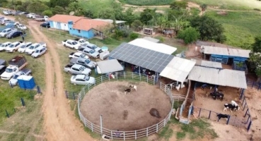 Leilão de Gado realizado em Lagoa Formosa arrecada quase R$ 200 mil para a Santa Casa de Patos de Minas