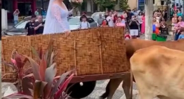 Noiva resgata raízes e chega de carro de boi para casamento em cidade de Minas Gerais 