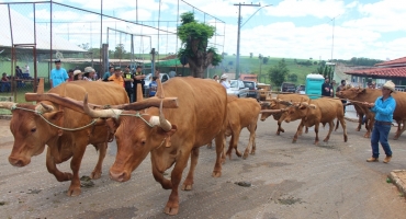 Desfile de Carros de Bois reúne tradição e grande público em Monjolinho de Minas