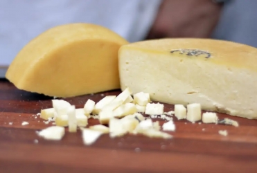 Dia Mundial do Queijo reforça a tradição, técnica e sabor que contam uma história no Brasil