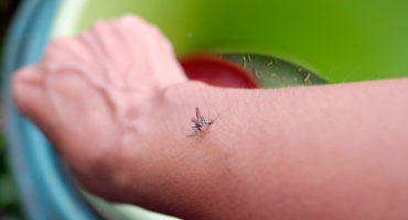 Patos de Minas - Primeiro caso de dengue do sorotipo 3 é confirmado na cidade 