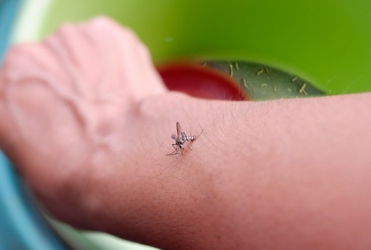 Patos de Minas - Primeiro caso de dengue do sorotipo 3 é confirmado na cidade 
