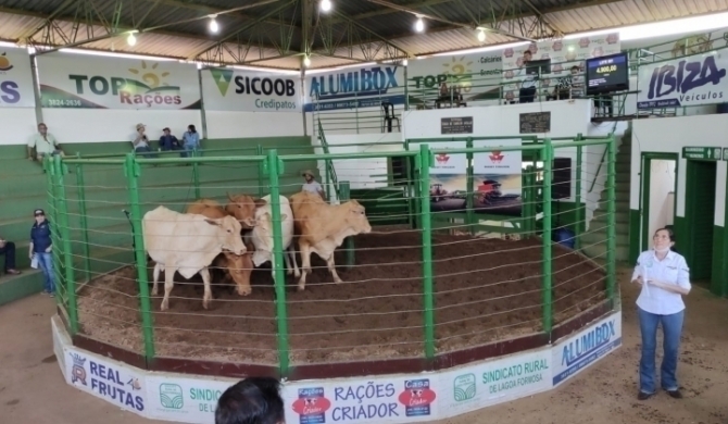 Sindicato dos Produtores Rurais de Lagoa Formosa realiza tradicional leilão de gado de corte nesta quinta-feira; 19 de março