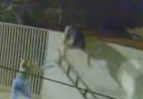 Homem sofre queda de mais de 3 metros de altura e é socorrido com traumatismo craniano, em Patos de Minas (veja vídeo)