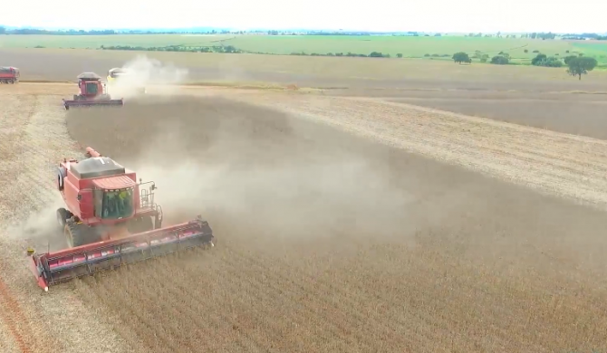 Patos de Minas - Agro mineiro movimenta US$ 3,93 bilhões e reforça protagonismo no setor