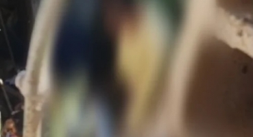 Rio Paranaíba - Idoso de 66 anos é indiciado por maus-tratos após investigação de caso de zoofilia